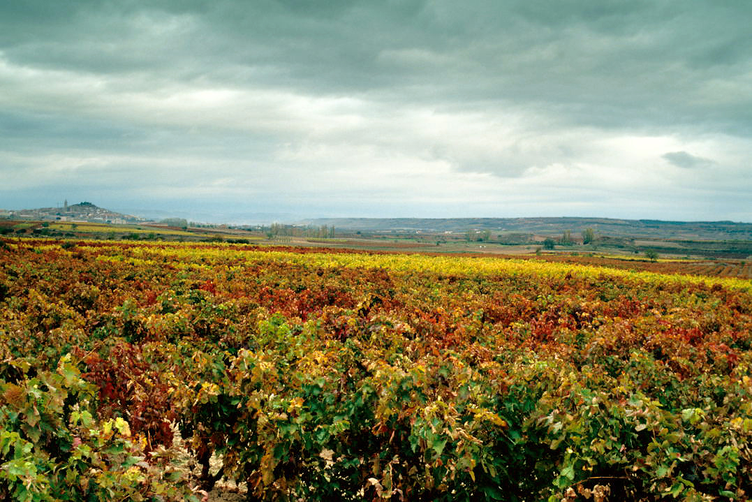 Rioja