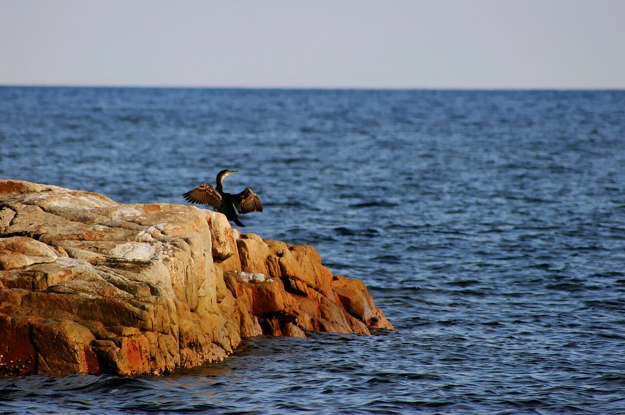 Begur